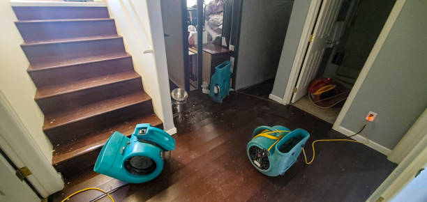 Best Residential water damage restoration  in Collinsville, TX