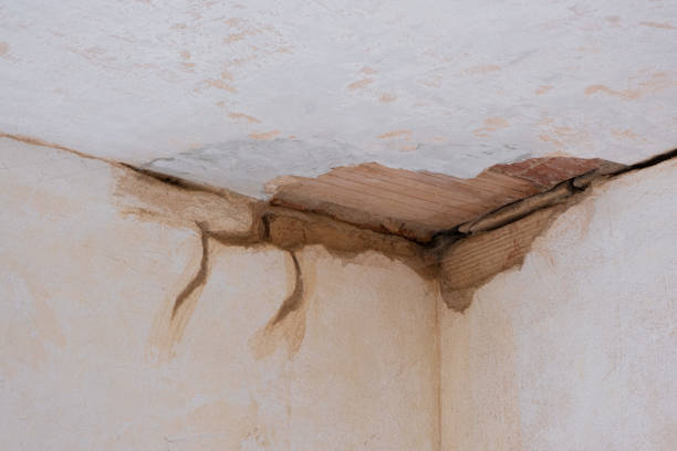 Reliable Collinsville, TX Water damage restoration Solutions