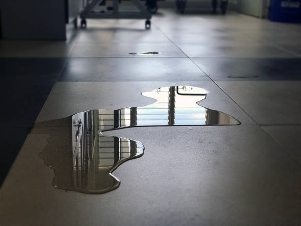 Best Water damage restoration near me  in Collinsville, TX
