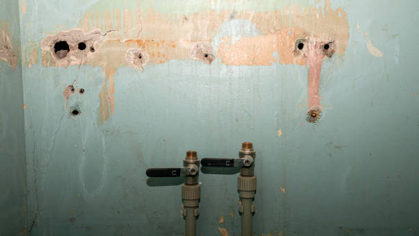 Best 24-hour water damage restoration  in Collinsville, TX